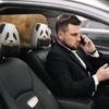 TZBVTAU 2 Pack Carton Panda Car Seat Headrest Cover for