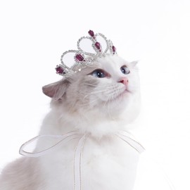 Lovelyshop Pet series Purple Gem Rhinestone Dog/Cat Tiara Crown for Costume Hair Accessories -Medium Size