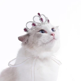 Lovelyshop Pet series Purple Gem Rhinestone Dog/Cat Tiara Crown for Costume Hair Accessories -Medium Size