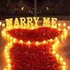 Toolzia LED Heart Tealight Candles with Artificial Rose Petals, 24-Piece