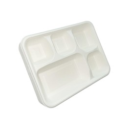 Be4Ever Sugarcane Bagasse 5 Compartment Plates Rigid & Durable Divided Disposable Plates for Hot, Cold, Wet & Oily Food Portion Control Plates Eco-Friendly (5 Compartment (Pack of 25))