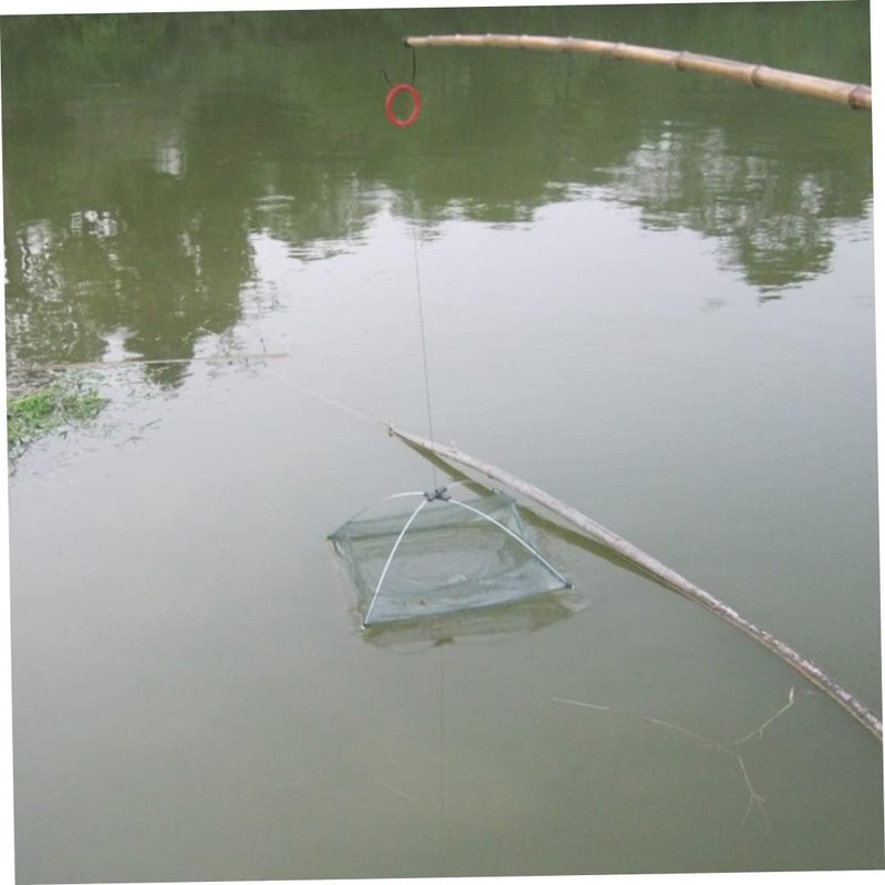 Trampa de Cebo de Pesca Trampa Plegable para pececillos Cangrejo