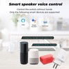 20A Smart Plug Wireless WiFi APP Control Smart Outlet Socket