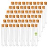 KAOPET 60Pcs Clear Plastic Test Tubes with Caps—Cork Stoppers, 15x100mm