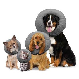 Arlee Pet Products 58412028: Poly Filled Adjustable E-Collar, Md