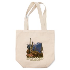Lantern Press Saguaro National Park, Rincon Peak (100% Cotton Canvas Reusable Tote Bag)