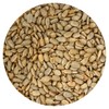 Sunflower Seeds Roasted and Salted, 2 Pound Bag, Sunflower Seeds