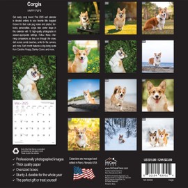 MICASA Corgis 2025 Wall Calendar 12 Month | 12" x 24" Open | Thick & Sturdy Paper | Giftable | Calendar 2025