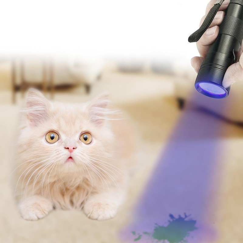 JOR UV Flashlight with AAA Batteries, Pet Pee & Stain