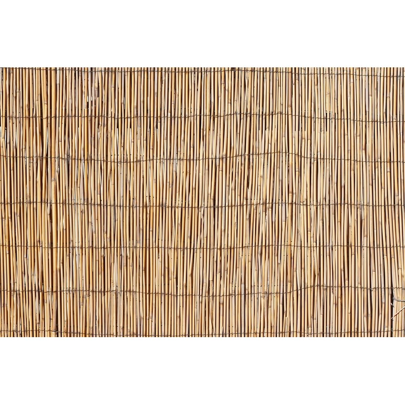 Hawaiian Tropical Beach Backdrop 6x4ft Aloha Luau Party Decorations Brown