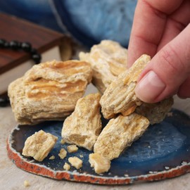 NKlaus 100 g Sal Resin Pure Tree Resin Incense Shorea Robusta Spicy 1182