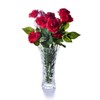 Vase 9â Flower Vases Lead-Free Crystal Glass Vase, Flower Inserted