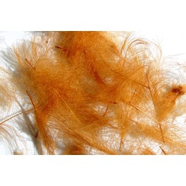1g - CDC (Cul de Canard) Feathers - ZIMT / Cinnamon - For Fly Tying