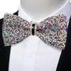DiBanGu Rainbow Rhinestone Bow Ties for Men Solid Color Diamond