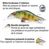 jerkbait Minnow 5 to 9 cm 4 to 22 g