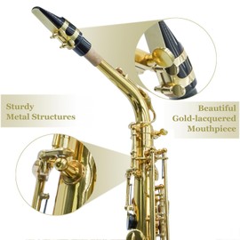 KAYATA Eb Alto Saxophone with F# Key, Canvas Case, Gloves, Reeds, Carekit(Gold Lacquer)