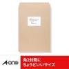 エーワン ラベルシール 宛名 ラベル 用紙 作業しやすい加工 8面 100シート 73208