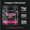Beauty Collagen Multi Peptides Colageno Hidrolizado Puro Peptidos Bioactivos Vitamina