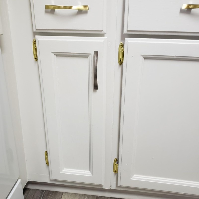 3/8" Inset Gold Cabinet Hinges, (30 Pairs-60 Pack) Self Closing