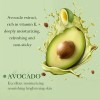 Kit Skincare Aguacate 7pz Tonico Suero Limpiador Balsamo Loc
