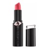 Wet n Wild Labial Matte Wet N Wild Mega Last