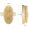 Ana Wiz™ Wooden Body Brush with Medium Natural Boar Bristles,