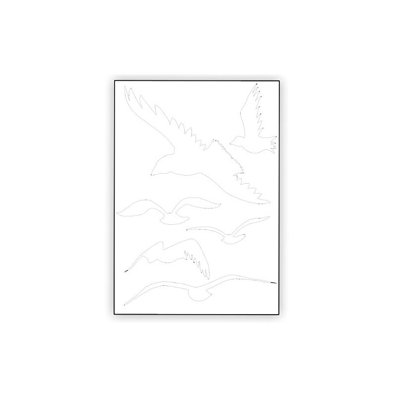 Bird Protection and Window Protection – 6 Stickers – Protection