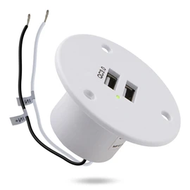 Facon 12V RV USB Outlet Socket Power, Quick Charger Dual RV USB Port with Green Indicator Light, 12Volts USB for RV Trailer Camper Boat Marine Motorhome