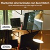 Wyze Lifestyle - foco blanca, 800 lúmenes, paquete de dos,