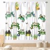 TKUYO Cat Curtains, Rustic Farmhouse Hanging Potted Plants Blacketplants Kitty