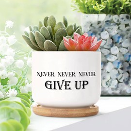 DecStic Never, Never, Never Give Up Ceramic Planters Bible Verse Planters for Outdoor Plants with Drainage Holes and Saucers Pot for Pots Outdoor Indoor Plants