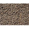 Lentils 15 Lbs, Joseph's Grainery Brown Lentils, All Natural, Non-GMO,