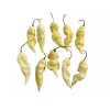 Homemade Super hot pepper powder 1 oz. reaper, moruga, dragon's