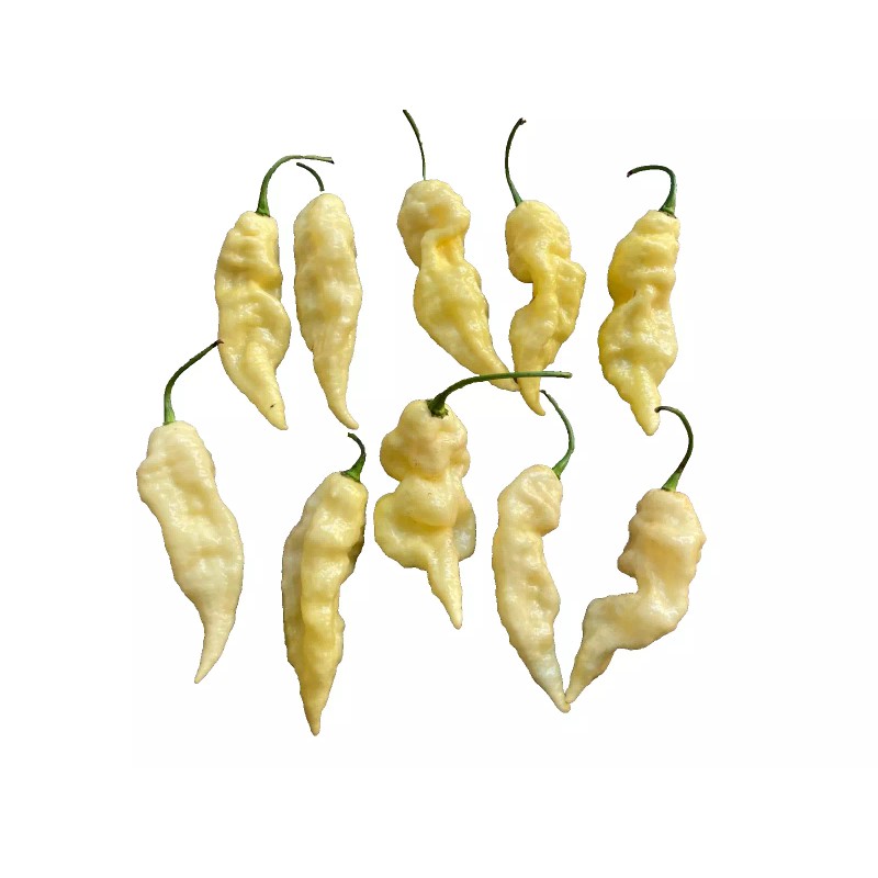 Homemade Super hot pepper powder 1 oz. reaper, moruga, dragon's