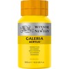 Winsor & Newton 2150653 Galeria Acrylic Paint, High Pigmentation, Non-Fading,