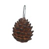 Park Designs Pinecone Shower Curtain Hooks (Set of 12)