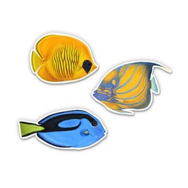 Pretty Tropical Fish Set of 3-2" Each Vinyl Stickers - for Car Laptop I-Pad Phone Helmet Hard Hat - Waterproof Decals