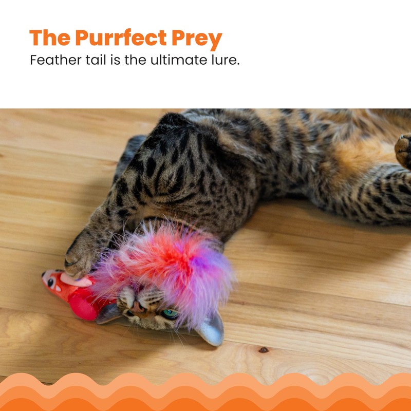 Catstages Racin' Squirrel Robot, Electronic Moving Cat Toy with Feathers,