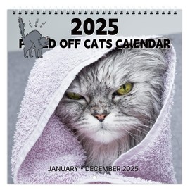 2025 Calendar - 2025 Wall Calendar, Pi-d-off Cats Calendar 2025, Jan. 2025 - Dec. 2025, 9.64" x 19.3" 2025 wall Calendar (open), Funny Calendar, Calendars with Unruled Blocks, Everyday Holidays - Funny Cats