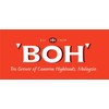 BOH Commercial Luxury Tea Botty, Cameronian Gold Blend, 1 Box
