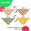 Raisingwell New Summer Fruit Dog Bandanas 2 Pack 4 Pattern