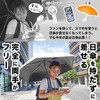 THANKO HANUMBCBK Hands-Free Umbrella, Parasol, Attachment, Backpack, "Little Umbrella Holding