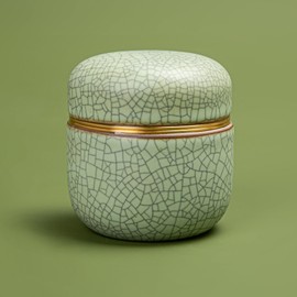 TEANAGOO Small Ceramic Matcha Container | 2.8 oz Portable Storage Container, Double Sealed with Aluminium Lid, Freshness Guarantee for 18g Matcha, X6 Lt. Green with Black Stitching