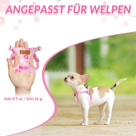 SlowTon Dog Harness with Lead, No-Pull Lightweight Soft Suede Puppy Harness with Floral Pattern and Snap Buckle, Adjustable Dog Harness for Small and Medium Dogs (Blue, XS)