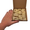SKIR'CO (Pack of 30) Brass Drop in Anchor M10 x