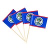 JBCD Belize Toothpick Flag Belizean Mini Small Cupcake Topper Flags,
