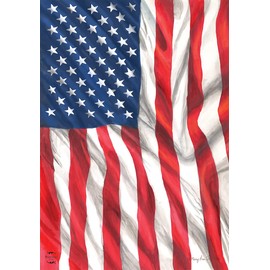 Briarwood Lane Everyday House Flag 40x28 For Outdoor American Flag Waving House Flag