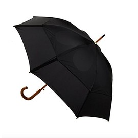 GustBuster Classic Automatic Folding Windproof Umbrella Lightweight and Strong- 48 inch (Burgundy)