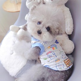 2 Pack Summer Dog T-Shirt with Cartoon Prints Vest Lightweight Puppy Tank Tops Soft Cat Shirt Doggy Tee Breathable Small Dog Clothes (Medium, Blue and White Bear,Pink and White Cherry Bunny)