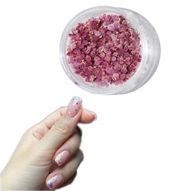 1 Boxes 50 pcs Nail Drying Flower, DIY, 3D Nail Art, Plant Theme, Irregular Shape, Flower Stickers Suitable for Care and Small Natural Nail Decoration, Accessories. (Burgundy Red Wine)